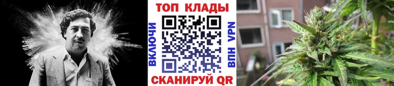 Наркошоп купить А ПВП  Меф мяу мяу  ГАШИШ  АМФ  LSD-25  МАРИХУАНА  Ртищево
