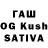 Псилоцибиновые грибы GOLDEN TEACHER Olga Kamisha